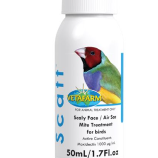 Scatt Solution